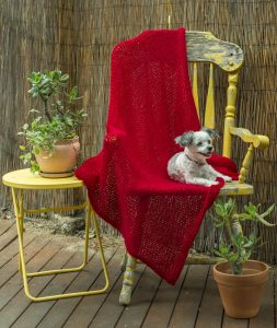 Vibrant Red Rug with puppy!